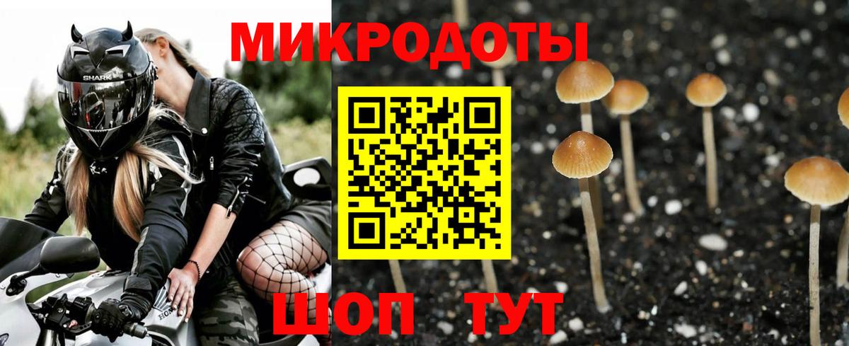 Галлюциногенные грибы MAGIC MUSHROOMS Луга